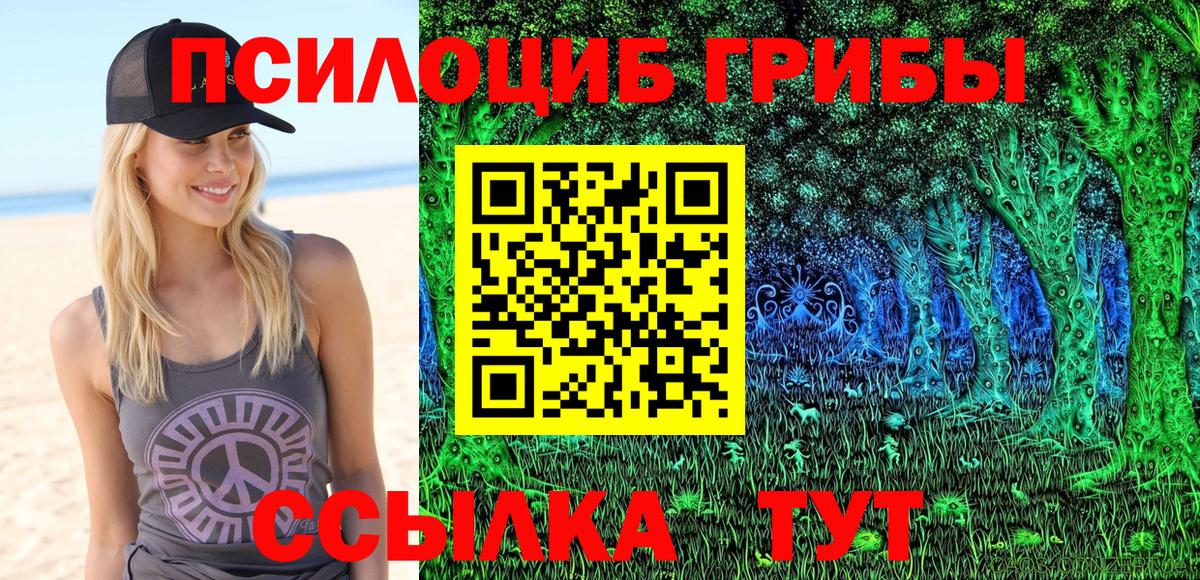 Галлюциногенные грибы мицелий  Галлюциногенные грибы Psilocybe  Вход с VPN  Серпухов 